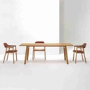 ban-an-go-tan-bi-ash-cao-75-dai-220-rong-100-cm-4884