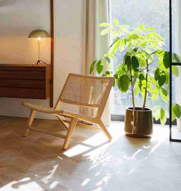 ghe-sofa-go-tan-bi-ash-cao-74-rong-65-sau-74-cm-5134